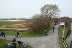 bloemenrit2010_07