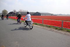 bloemenrit2011_18