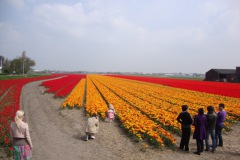 bloemenrit2011_23