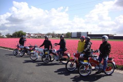 bloemenrit2012-16l