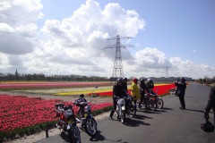 bloemenrit2012-17l
