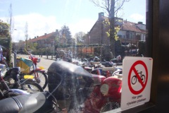 bloemenrit2012-20l