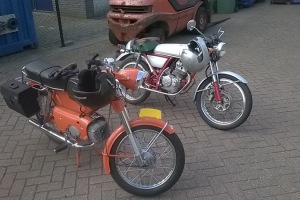Bloemenrit 2014