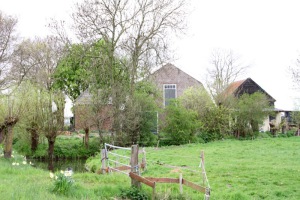 Bloemenrit 2015