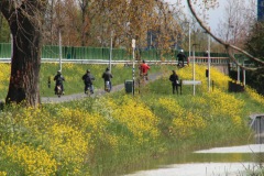 bloemenrit2016_19