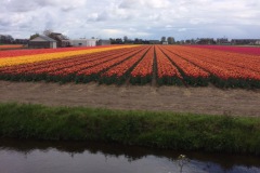 bloemenrit2017_27