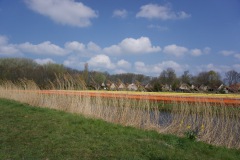 bloemenrit2019_26