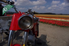 bloemenrit2019_28