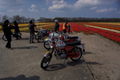 bloemenrit2019_29