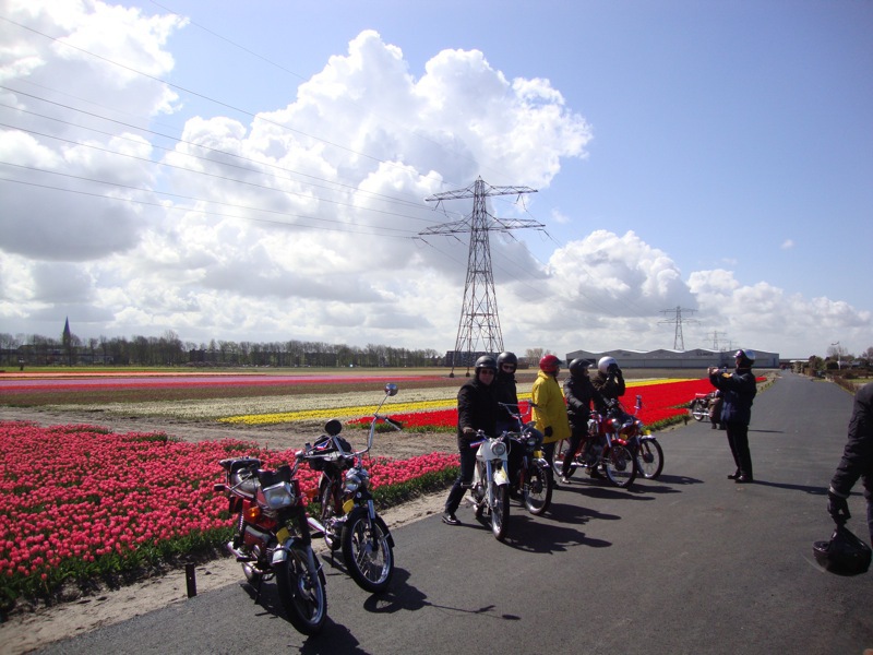 bloemenrit2012-17l