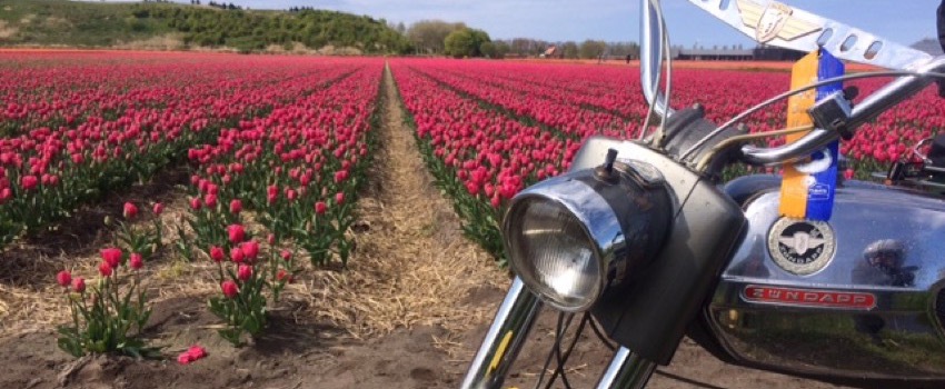 bloemenrit2017_26