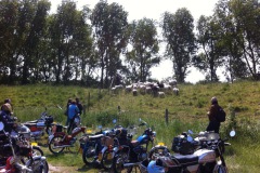 megarit619